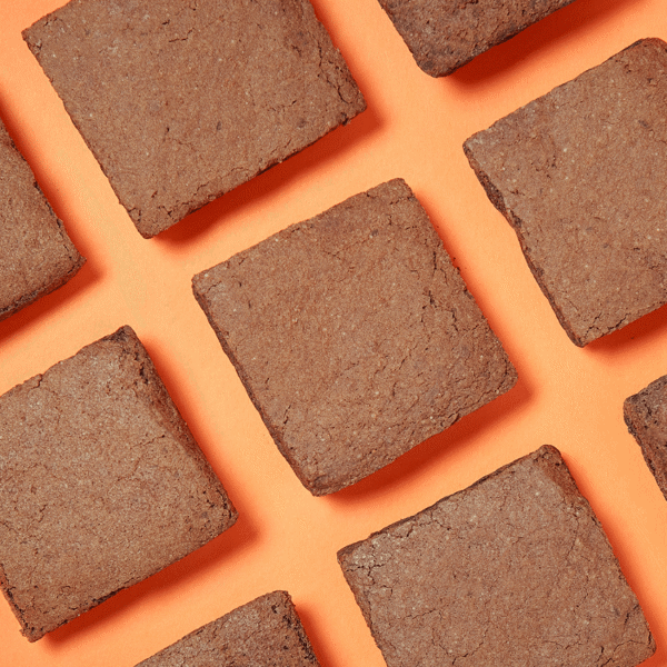 Healthy Fit Brownies are chocolate treats with a moist, fudgy interior and a perfectly baked, slightly crisp exterior for after lunch treat