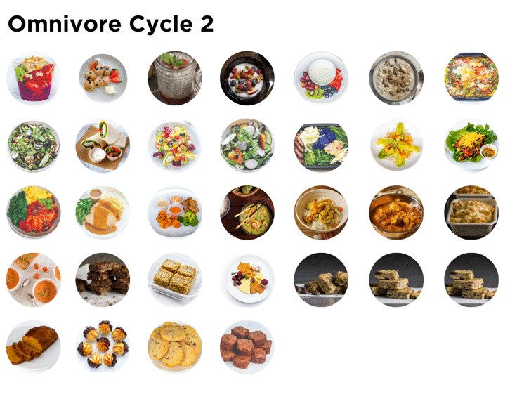 Omnivore Elimination Program: Cycle 2(A)