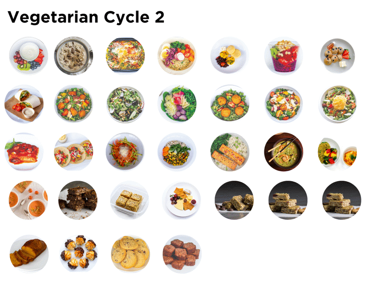 Vegetarian Elimination Program: Cycle 2B