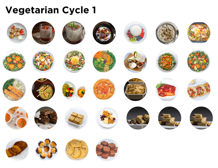Vegetarian Elimination Program: Cycle 1B