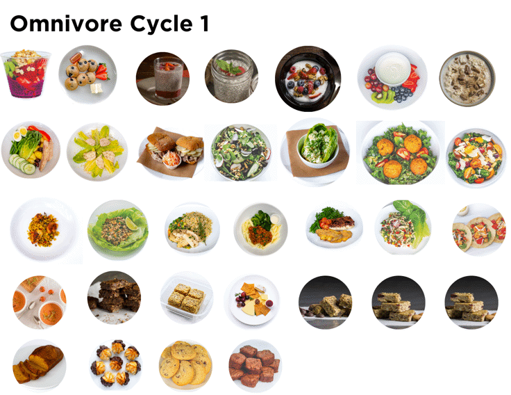 Omnivore Elimination Program Cycle 1(A)